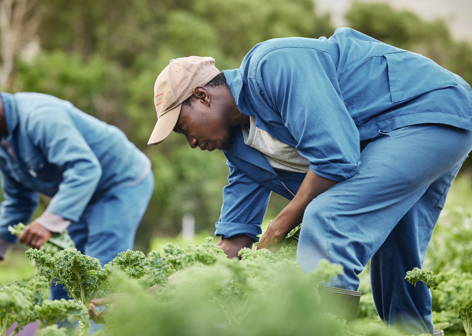Supporting farming communities across Africa